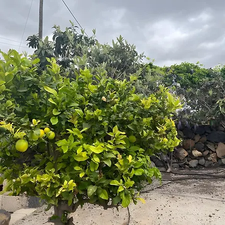 Mi Casita De Chimaca Semesterbostad Arona (Tenerife)